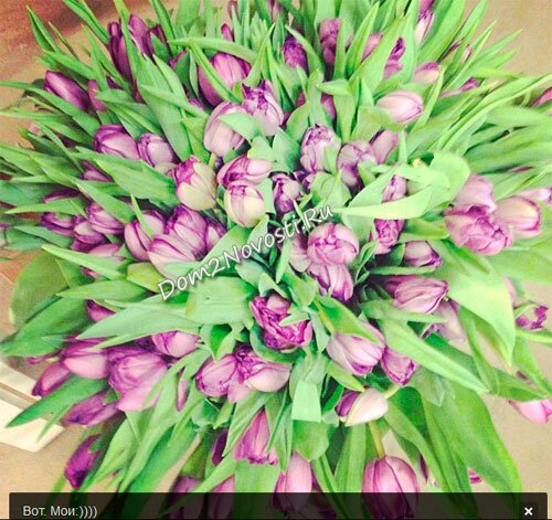 Цветы от мужа Ксении Собчак Цветы от мужа Ксении Собчак